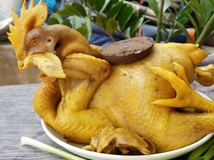0815497777 Thiên Phú cung cấp gà cúng luộc sẵn